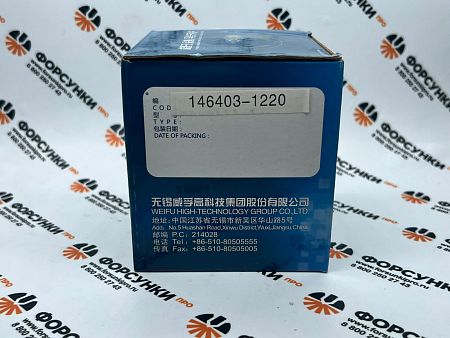 Плунжерная пара 146403-1220 Weifu