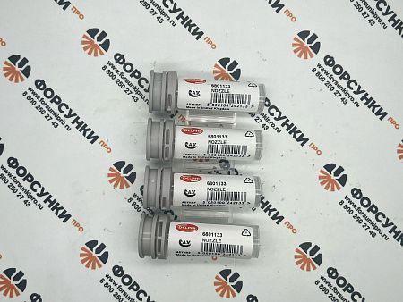 Распылители P 6801133