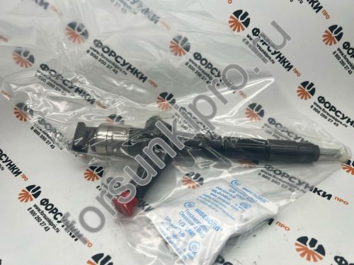 Форсунка 095000-6250 для NISSAN Navara 16600-EB70D, 16600ec00e