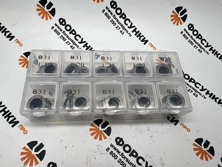 B31 Регулировочные шайбы для ремонта форсунок Common Rail  (размер Ø10.5мм/Ø15.7мм) кол-во 100 шт. 