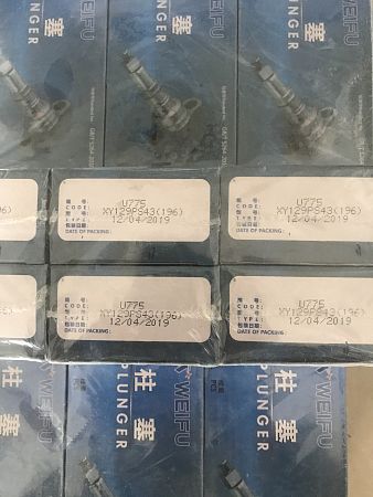 Плунжерная пара MAN 2418455196 Weifu