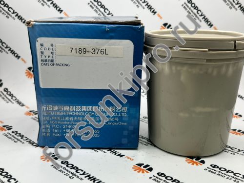 Плунжерная пара 7189-376l Weifu