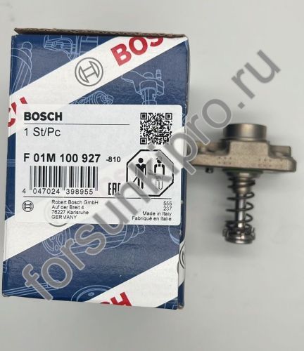 Головка цилиндра F01M100927 bosch