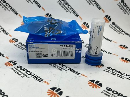 Ремонтный комплект инжектора FORD (R00301Z/R01001D) (28239294+L096PBD) 7135-652 delphi