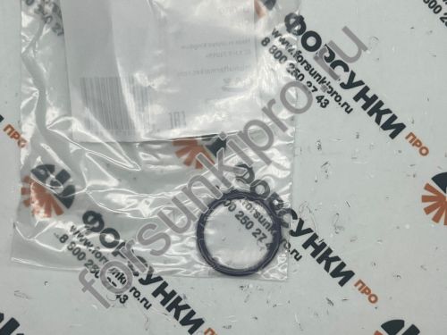 Кольцо уплотнительное (1 шт.)  7200-0119 delphi 