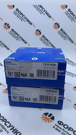 Ремонтный комплект инжектора FORD (R01101D) (28239294+L145PBD) 7135-658 delphi