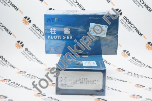 Плунжерная пара SCANIA 2418455129, U735 Weifu