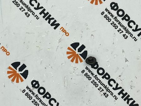 Нажимной болт CASE/DAF/FIAT/IVECO/MERCEDES/RENAULT/VW 2433124380 bosch