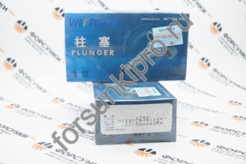 Плунжерная пара 2418455122, U760 Mercedes Weifu