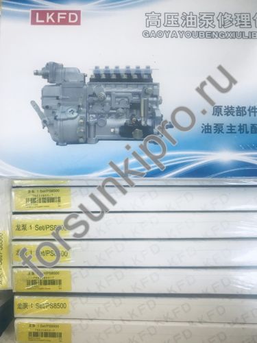 Ремкомплект для ТНВД евро 2 - PS8500, 79533855-7  LongBeng 