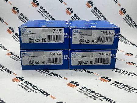 Набор 7135-619 для ремонта форсунок Delphi SSANG YONG (R04501D) (28239295+L244PRD)