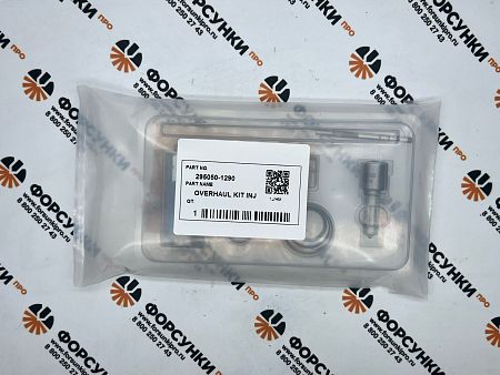 Ремкомплект форсунки 295050-1290 Xingma