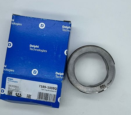 Комплект из кулачка и спирали 7189-100BQ delphi