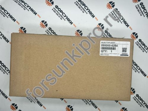 Форсунка 095000-6250 для NISSAN Navara 16600-EB70D, 16600ec00e