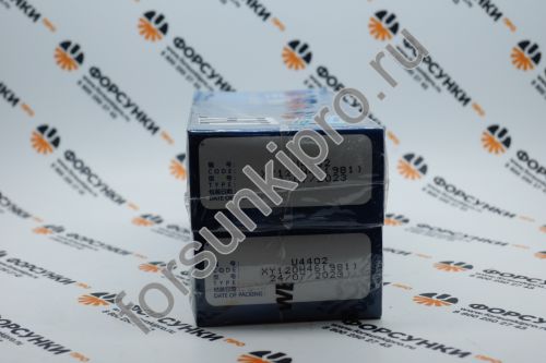 Плунжерная пара 2418425981 MAN Weifu