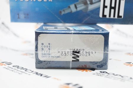 Плунжерная пара 2418425981, U4402 MAN Weifu