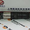 Форсунка  DENSO S00001059+07, 295050-1020