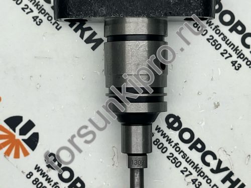 Плунжерная пара P1309 (ZS1309) LongBeng