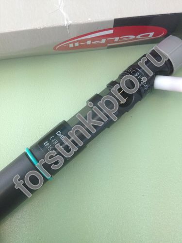 Форсунка KIA BONGO J3 Euro 4 33800-4X450, Delphi EJBR05501D (R05501D)