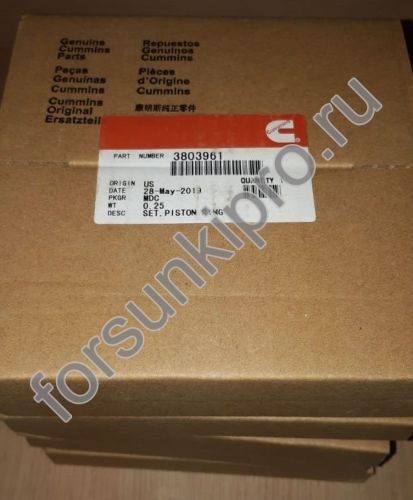 Поршневые кольца (к-т на цилиндр)  для двигателя Cummins L10, M11 3803961
